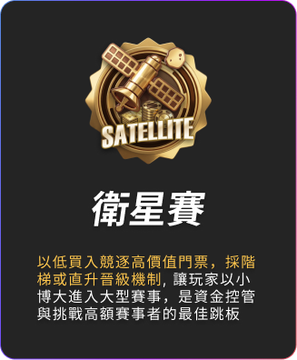 衛星賽